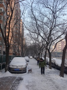Beijing snow scene + cars