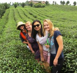 2. Four girls in Guizhou tea plantation PP&LD 2014_IMG_3332_sm