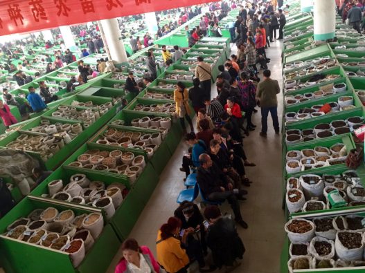 Ango TCM 'materia medica' market, that is, with an area of several hectares, the largest in China
