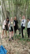 Students in bamboo
