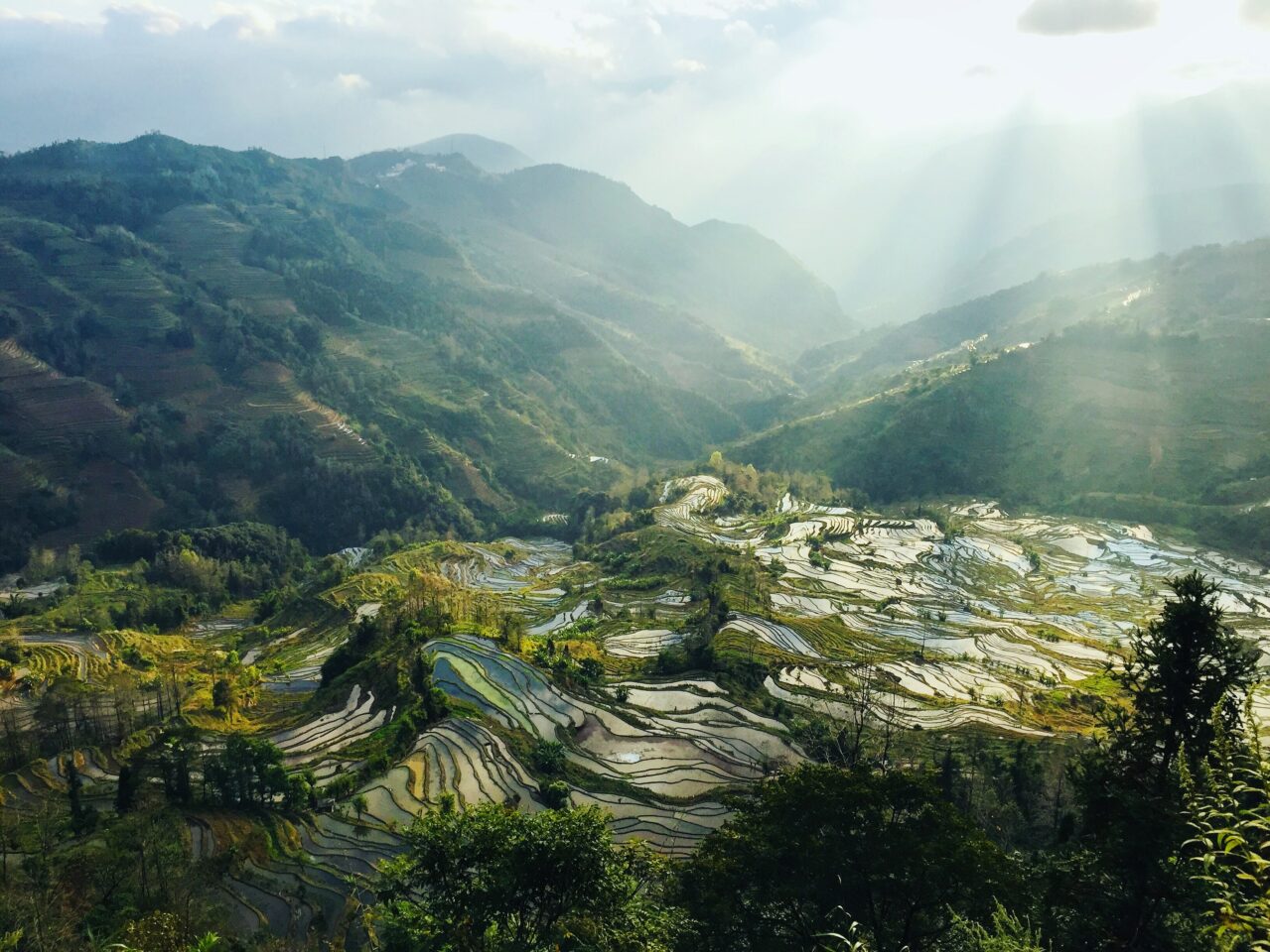 Yuanyang rice terraces. Photo credit: Anna Coco