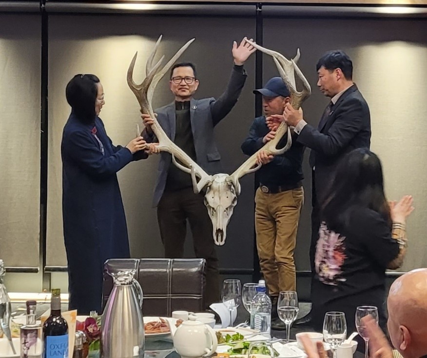 6-point deer antlers and skull up for auction at the Moonlight festival.