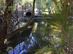 View of the bridge in the Huangshi Chinese Garden, Nelson.
