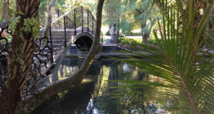 View of the bridge in the Huangshi Chinese Garden, Nelson.